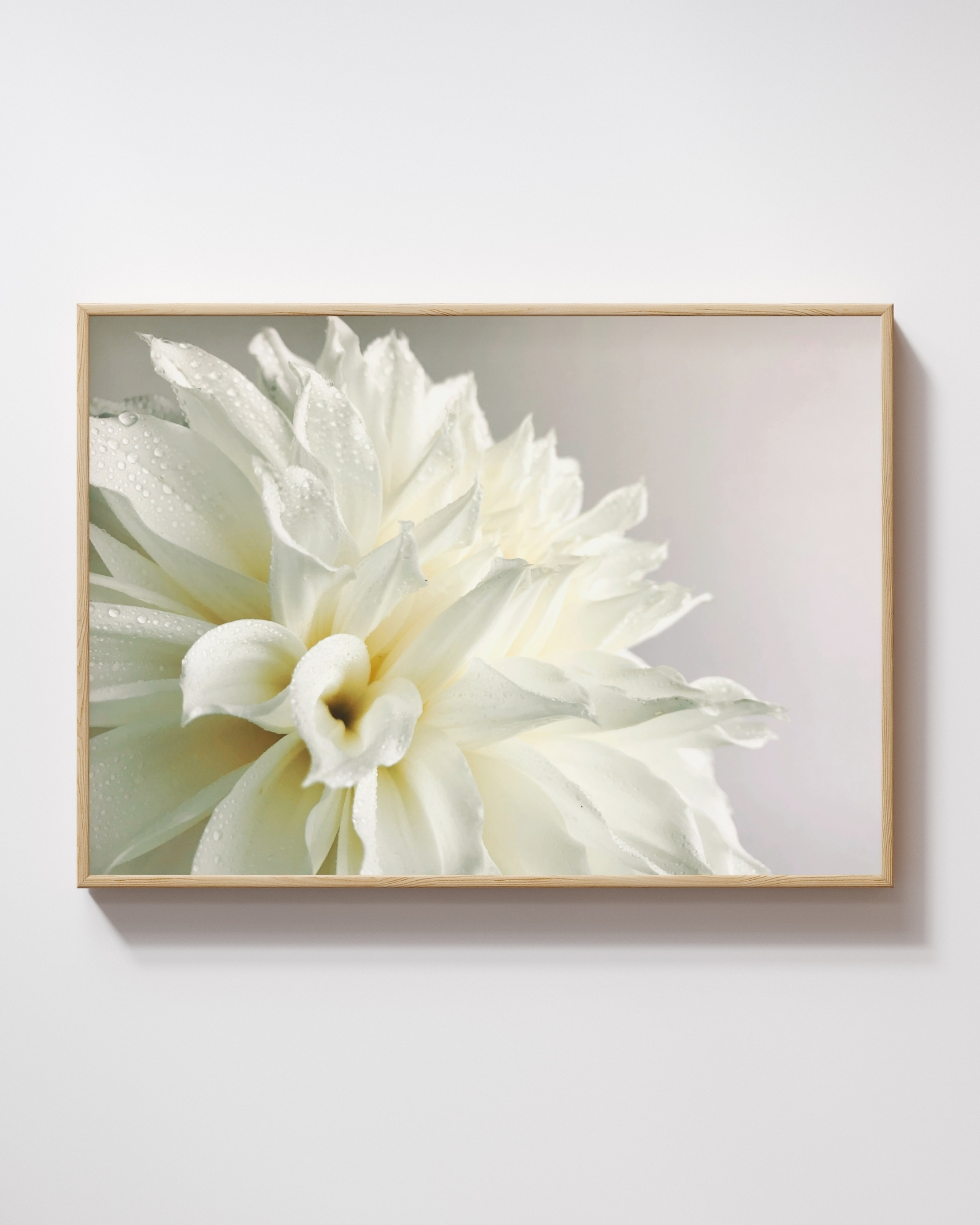 Morning Veil Morning Veil fine art photography