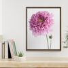 Bright Companion Bright Companion framed canvas art