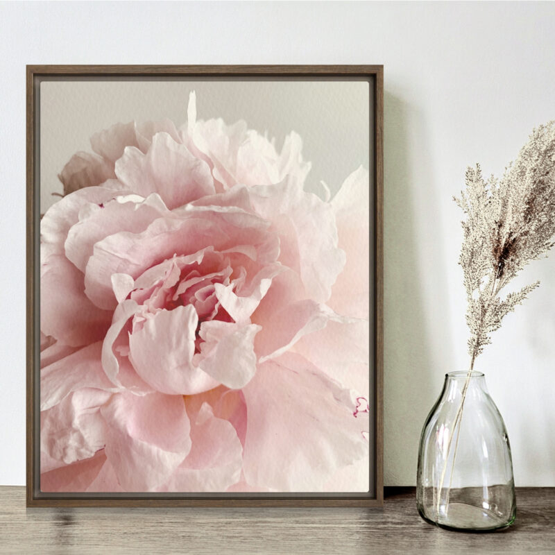 Soft Bloom framed canvas art