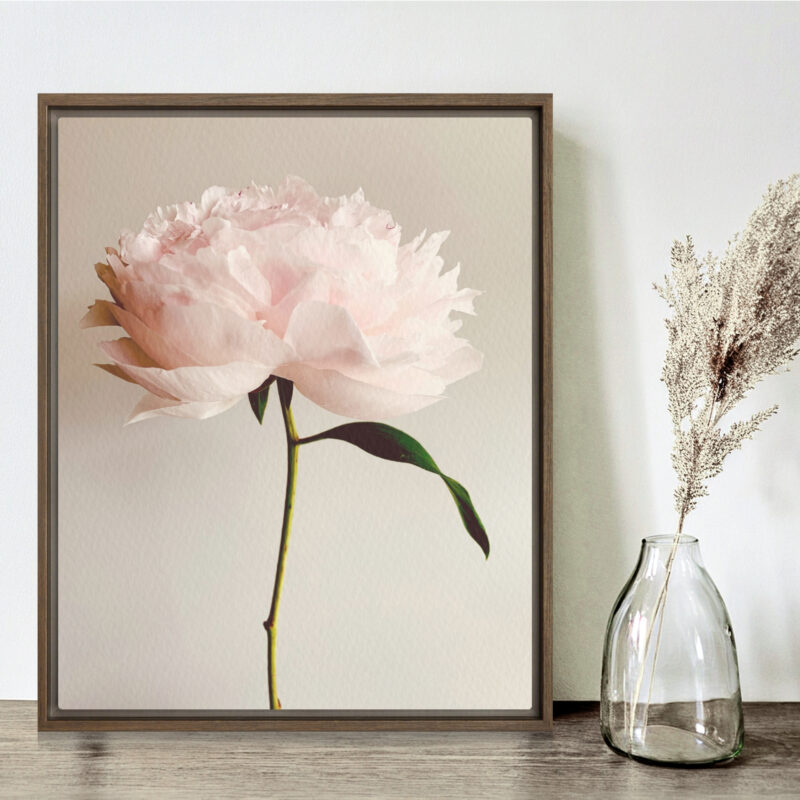 Soft Solitude framed canvas art