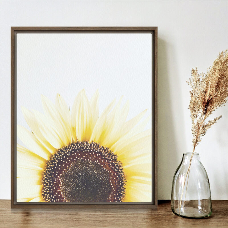 Summer Rise framed canvas art