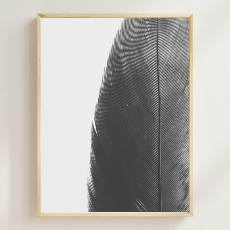 Feather Line fine art photography, Minimalist