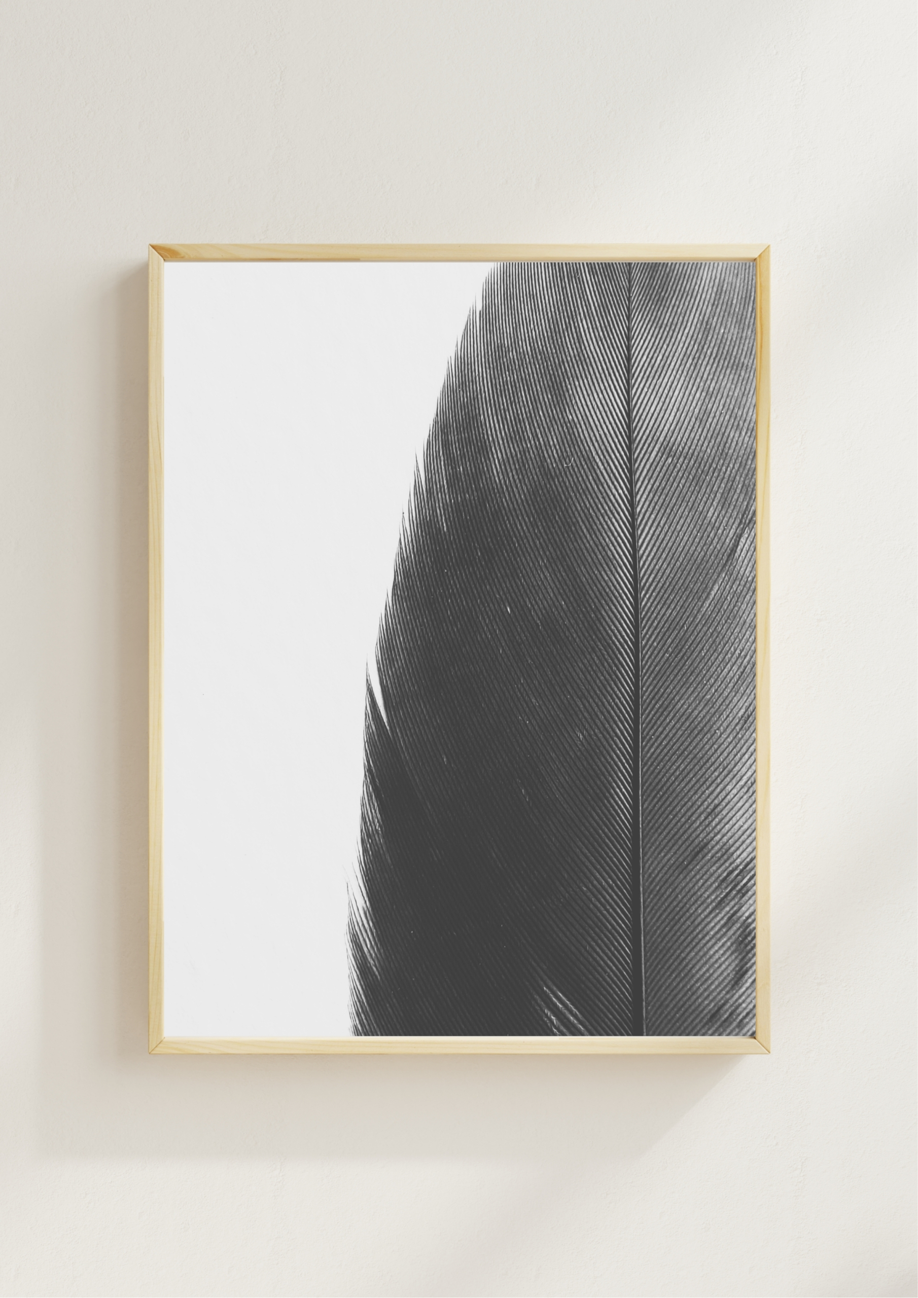 Feather Line Feather Line fine art photography