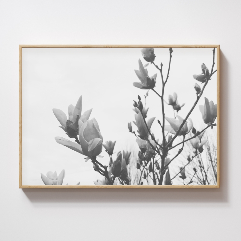 Gentle Unfolding fine art photography, Minimalist