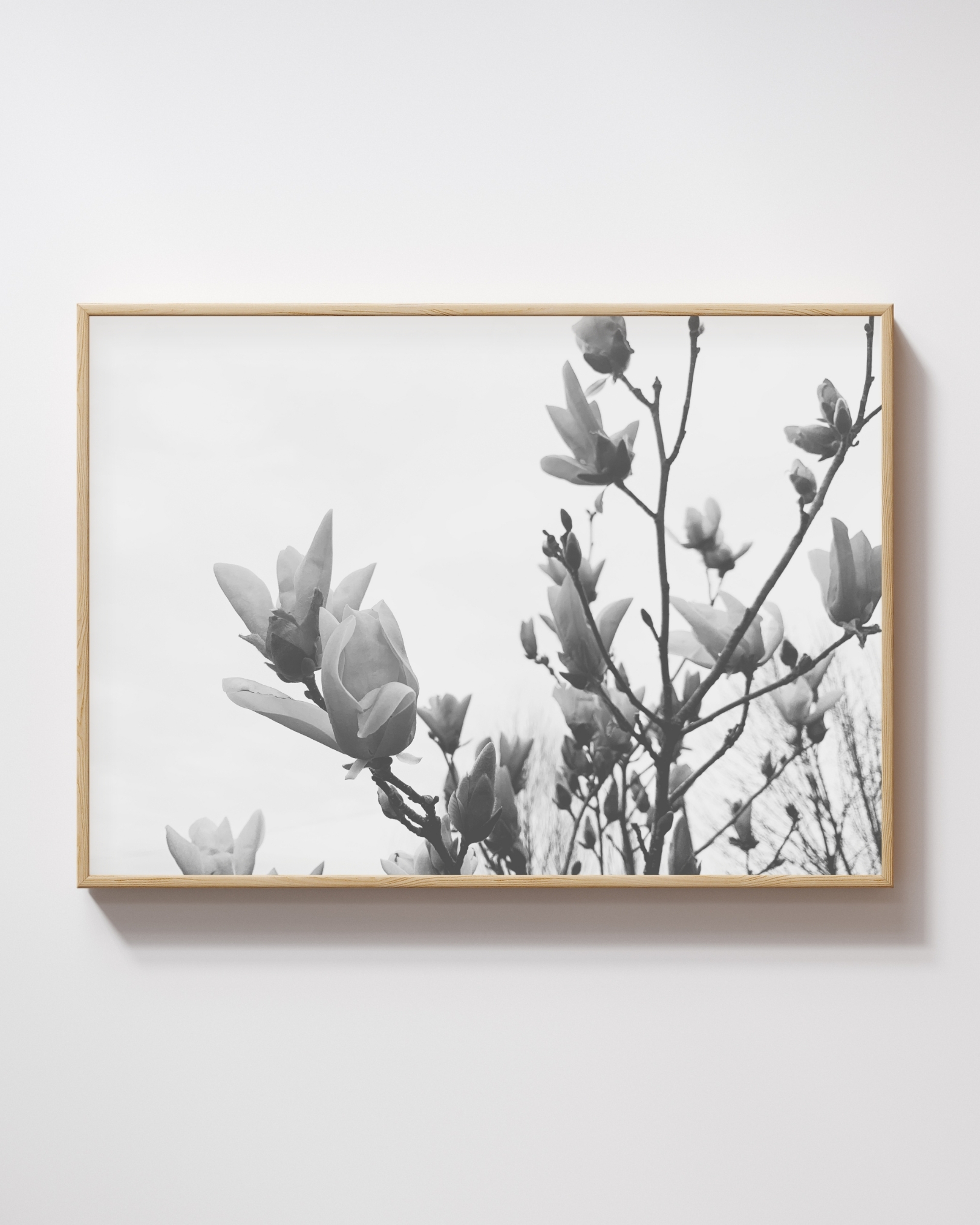 Gentle Unfolding Gentle Unfolding fine art photography