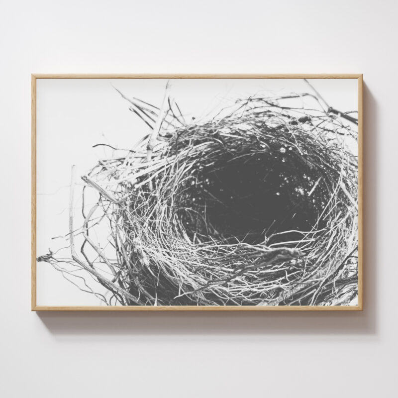 Circle of Rest Circle of Rest fine art photography