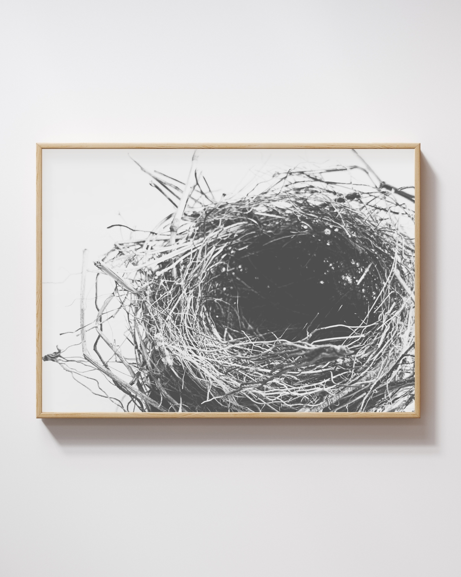 Circle of Rest Circle of Rest fine art photography