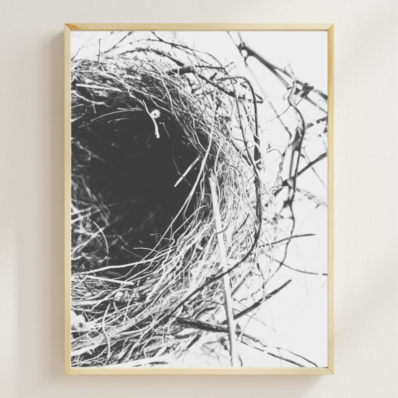 Quiet Tangle Quiet Tangle fine art photography