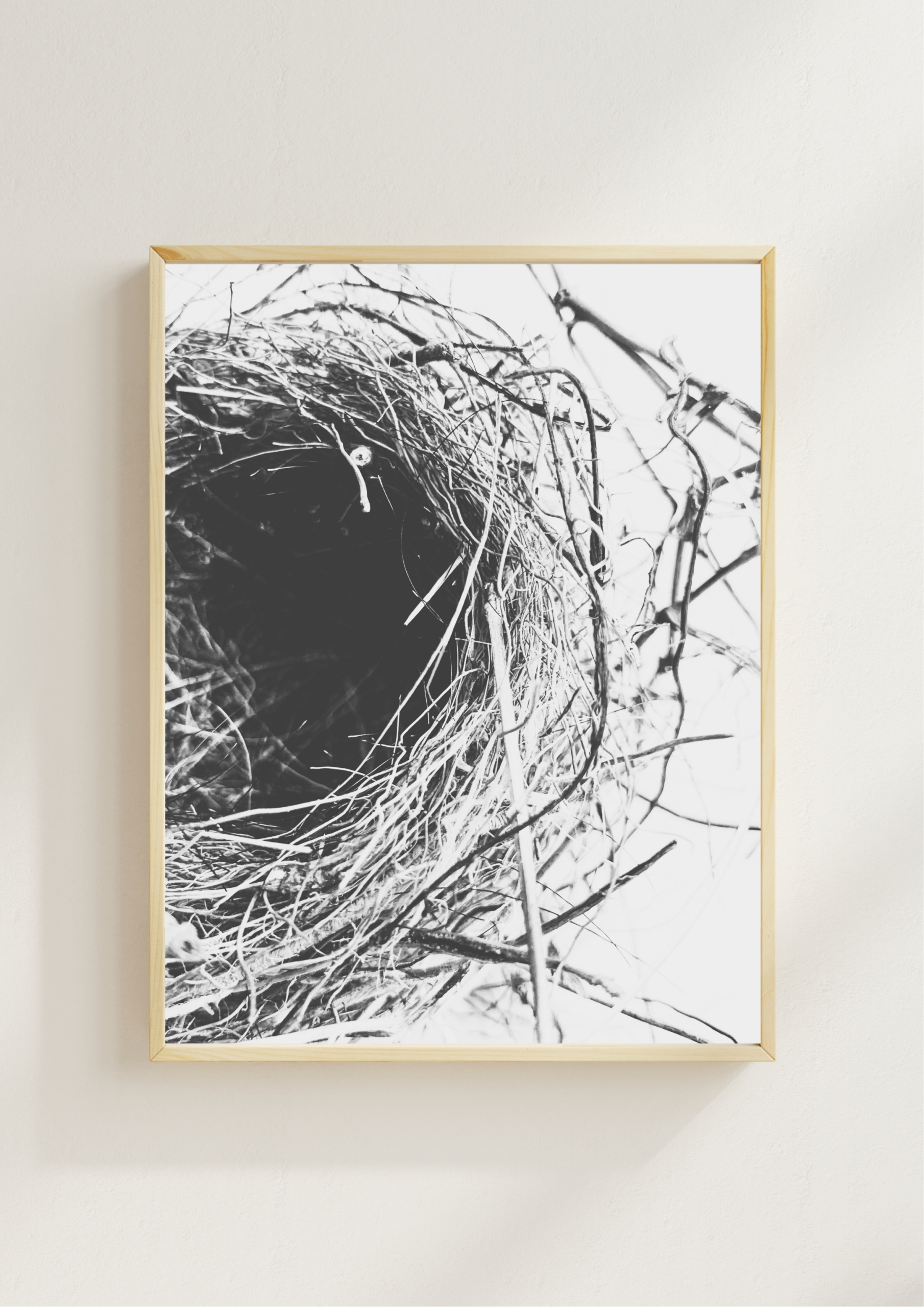 Quiet Tangle Quiet Tangle fine art photography