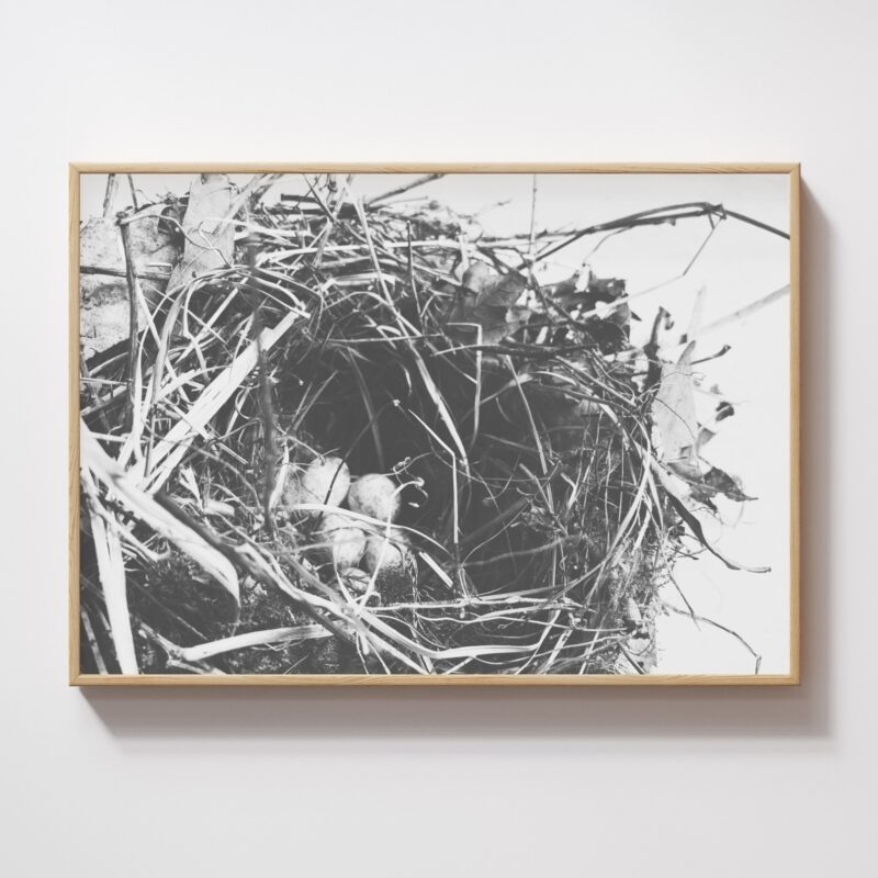 Gentle Shelter Gentle Shelter fine art photography