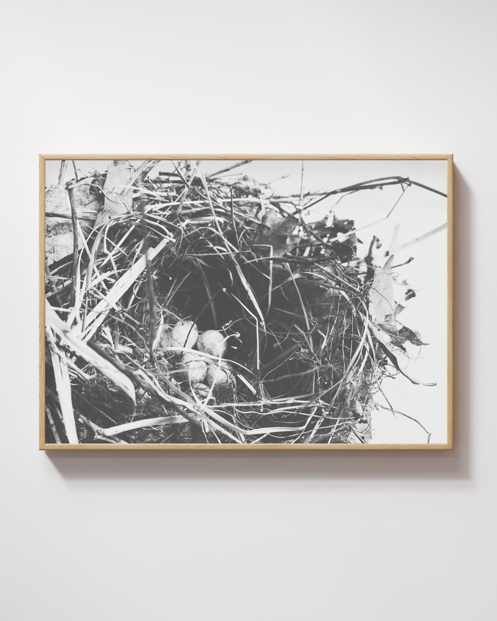 Gentle Shelter Gentle Shelter fine art photography