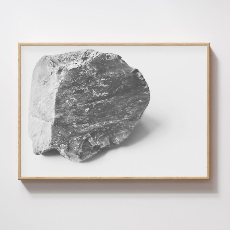 Cut Stillness Cut Stillness fine art photography