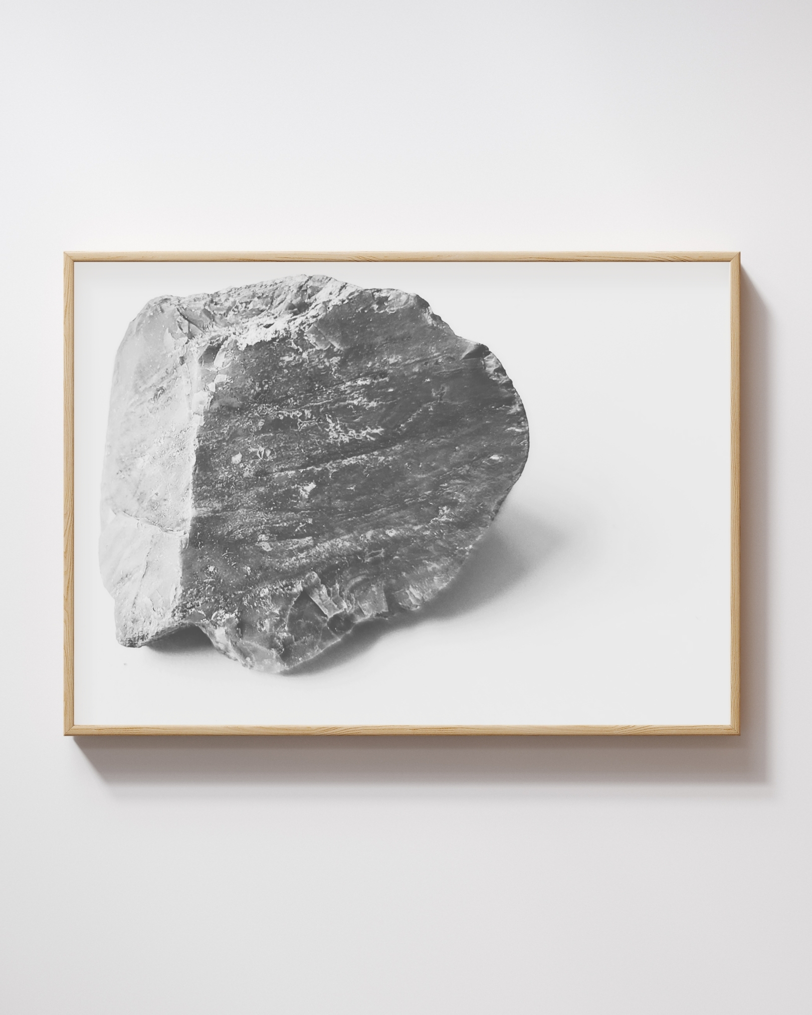 Cut Stillness fine art photography