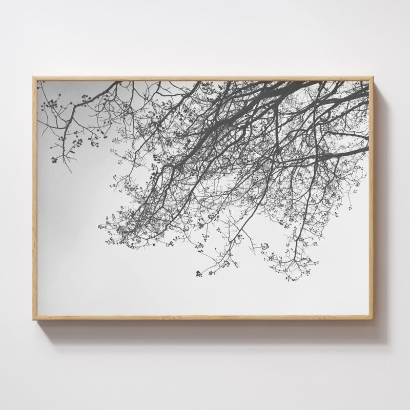 Spanning Stillness fine art photography