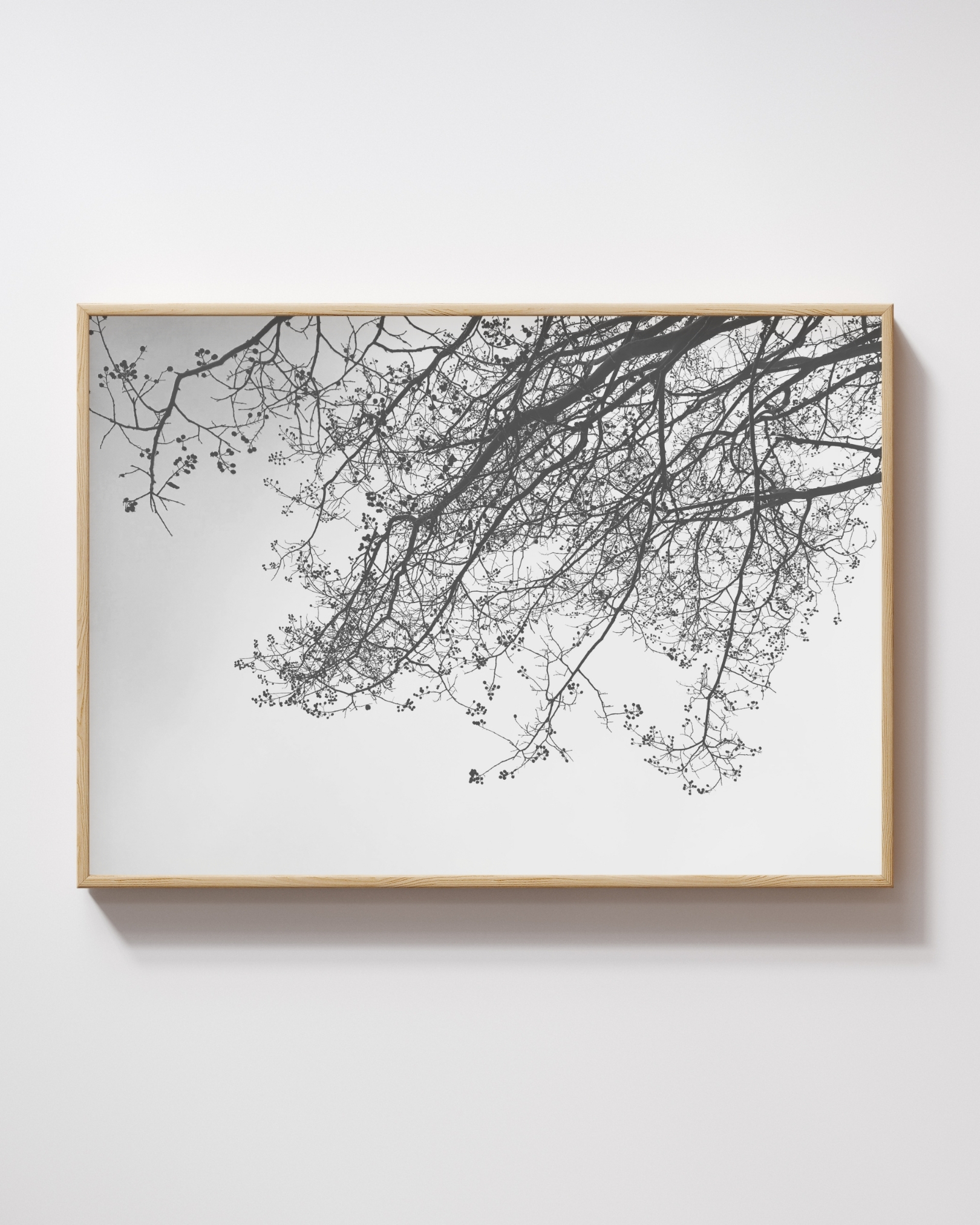 Spanning Stillness fine art photography