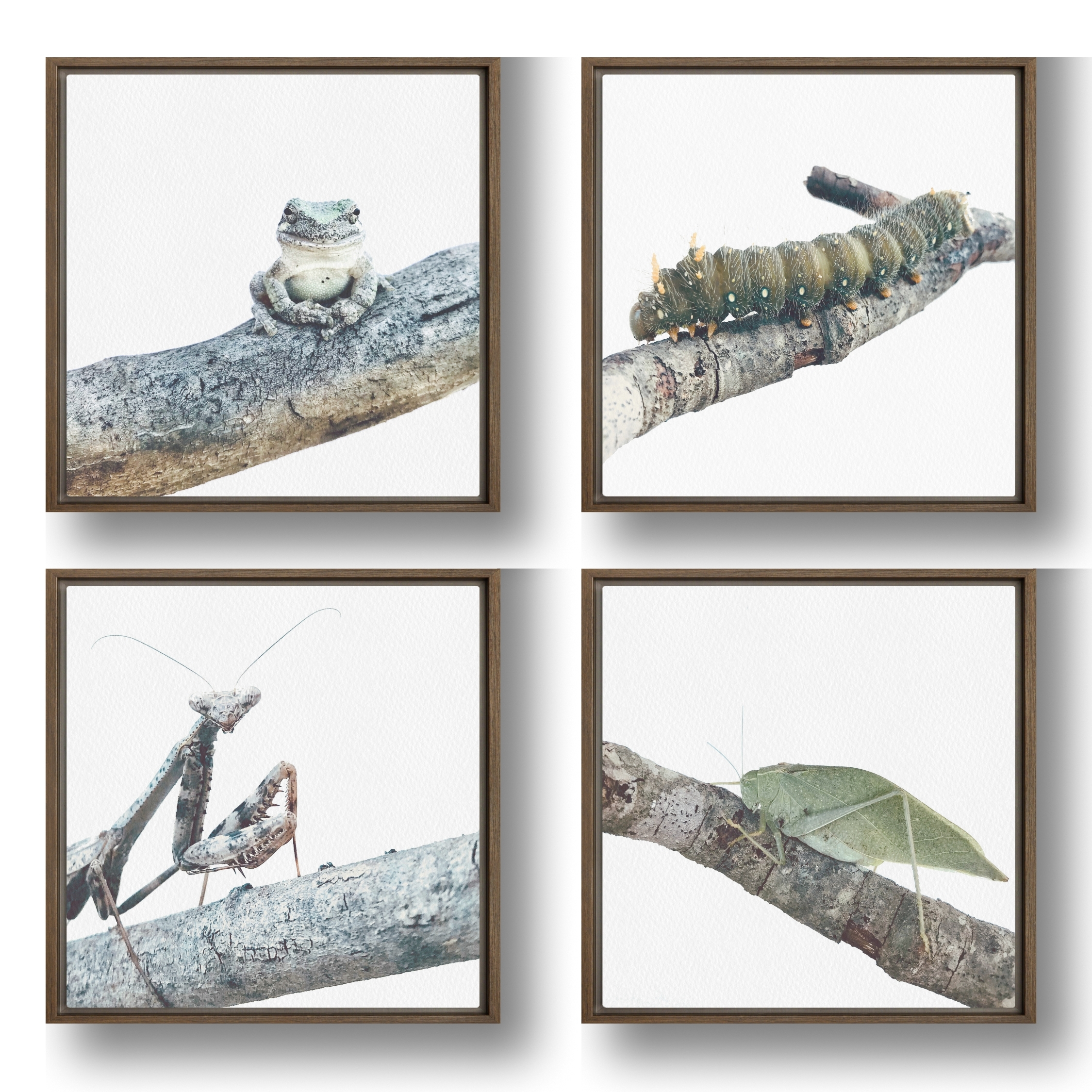 Branch Hierarchy framed canvas art