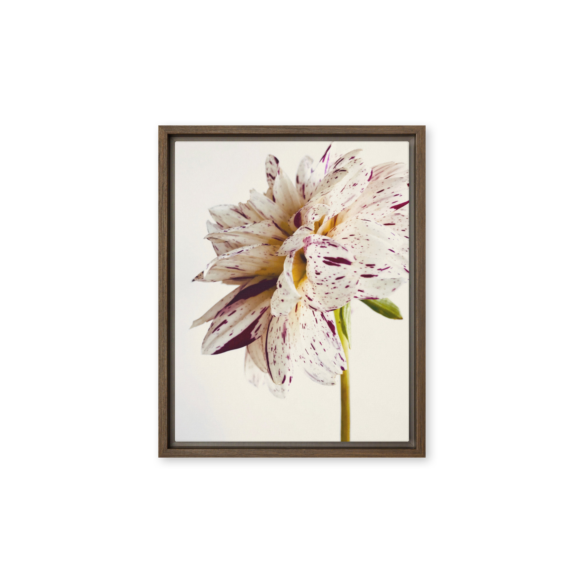 Freckled Bloom Freckled Bloom framed canvas art (front view)