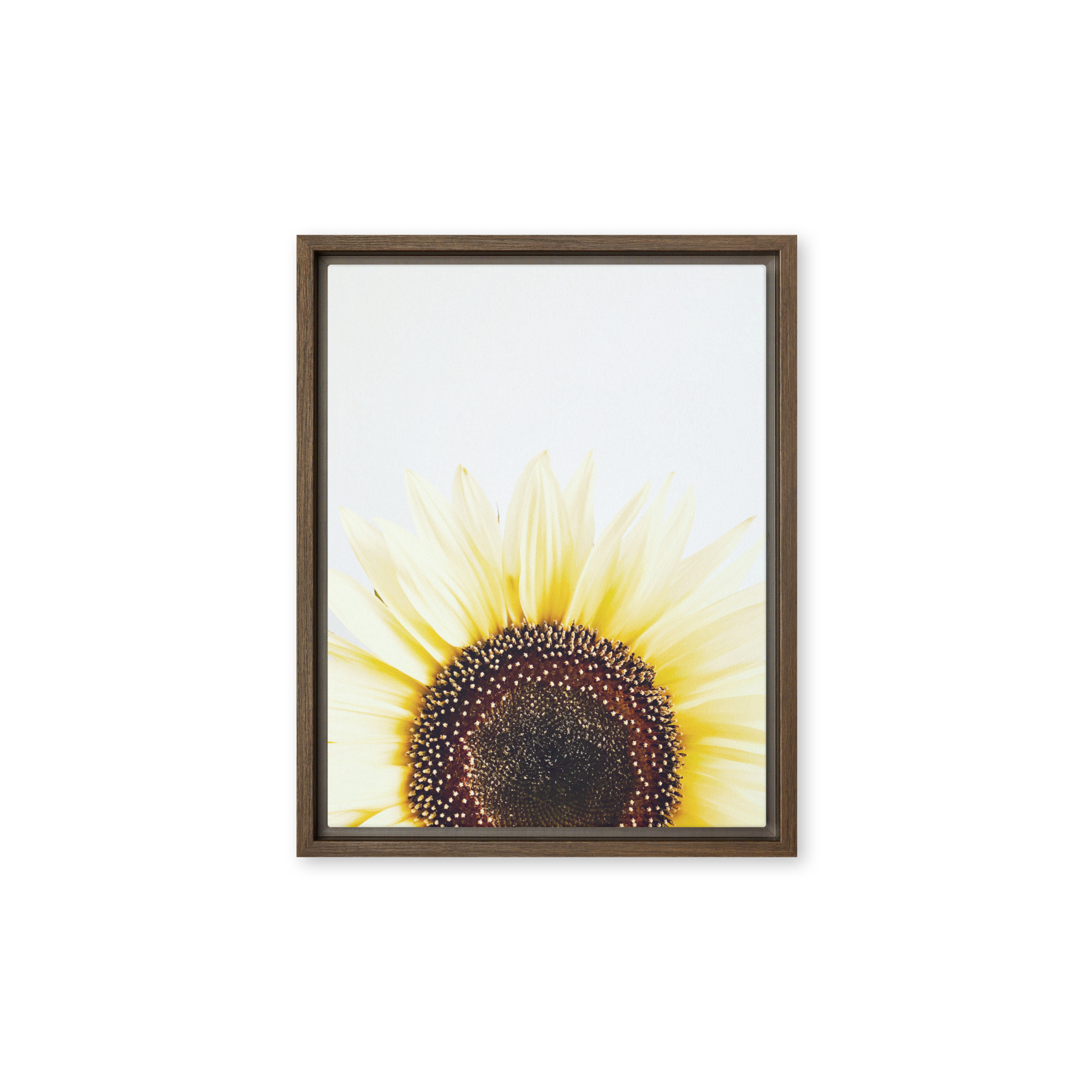 Summer Rise framed canvas art (front view)
