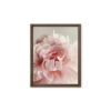 Soft Bloom Soft Bloom framed canvas art (front view)