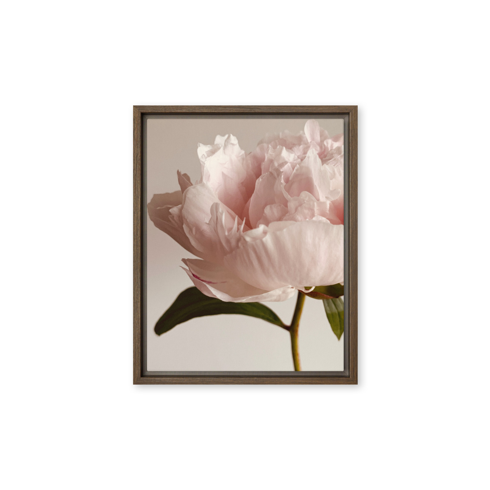 Soft Contour framed canvas art (front view)