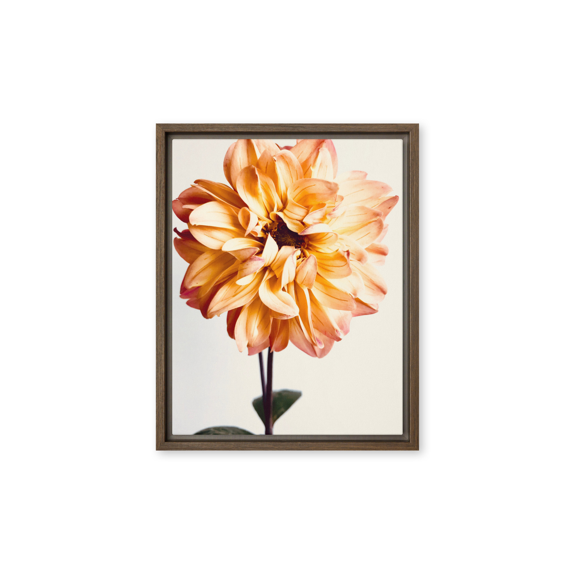 Amber Flame Amber Flame framed canvas art (front view)