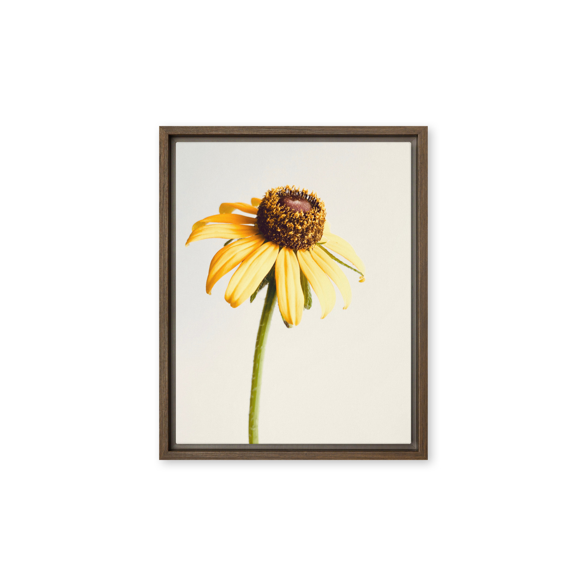 Simple Cheer framed canvas art (front view)