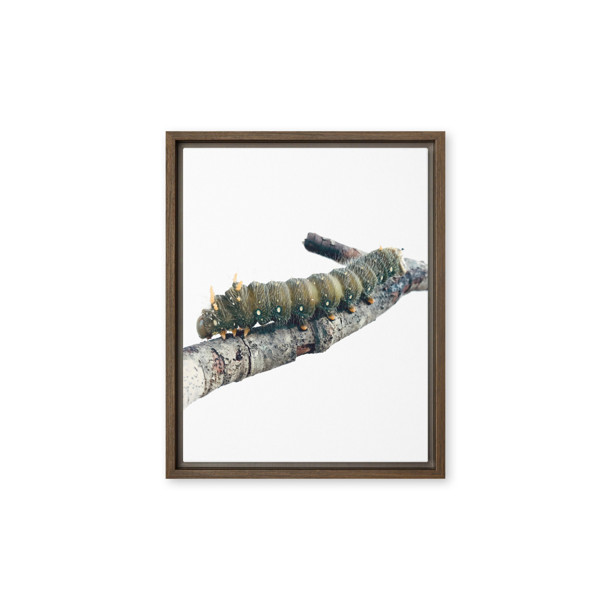 The Intern framed canvas art (front view)