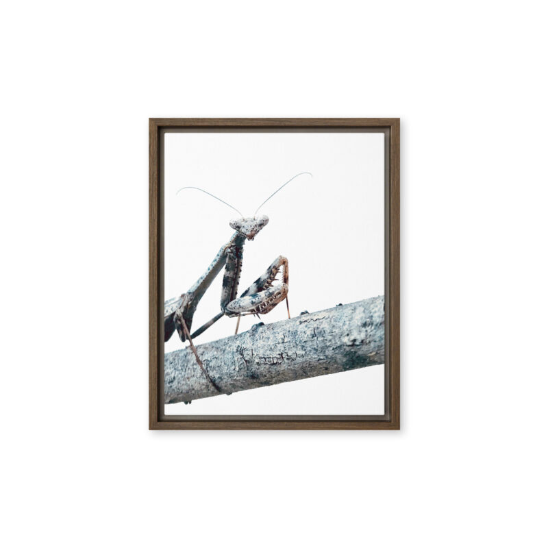 The Executive framed canvas art (front view)