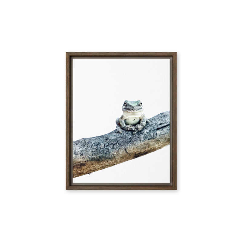 Branch Manager - Framed Canvas wildlife wall art (front view)