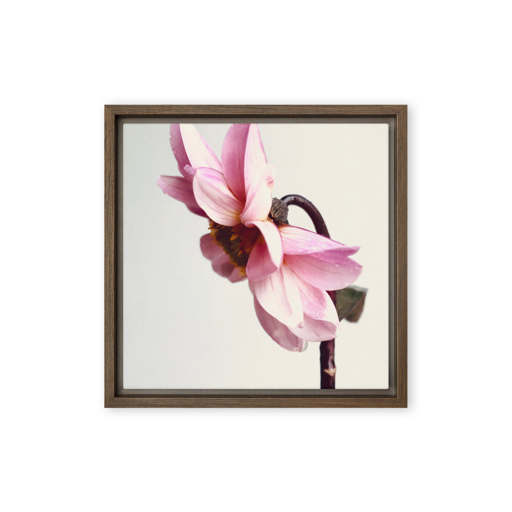 Reverent Bloom Reverent Bloom framed canvas art (front view)