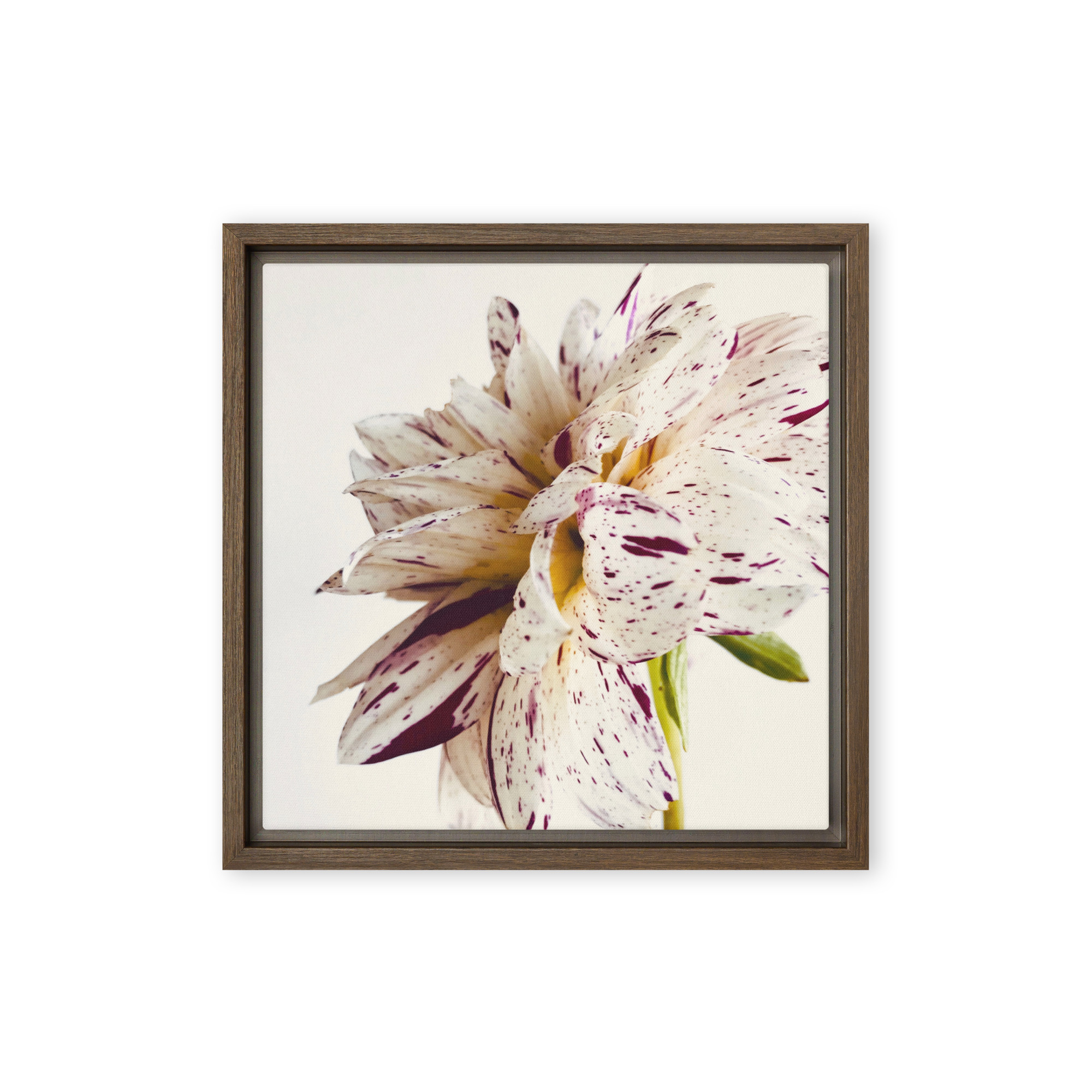 Freckled Bloom Freckled Bloom framed canvas art (front view)