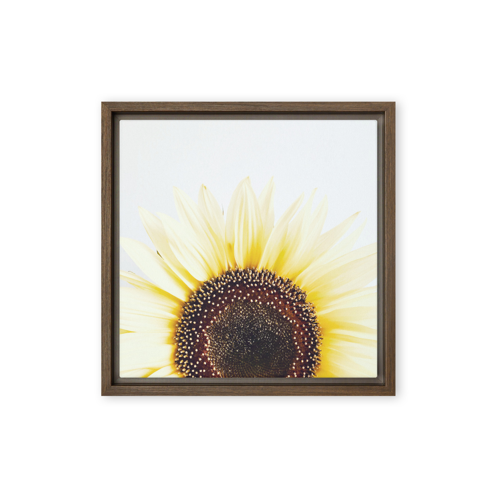 Summer Rise framed canvas art (front view)