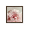 Soft Bloom Soft Bloom framed canvas art (front view)