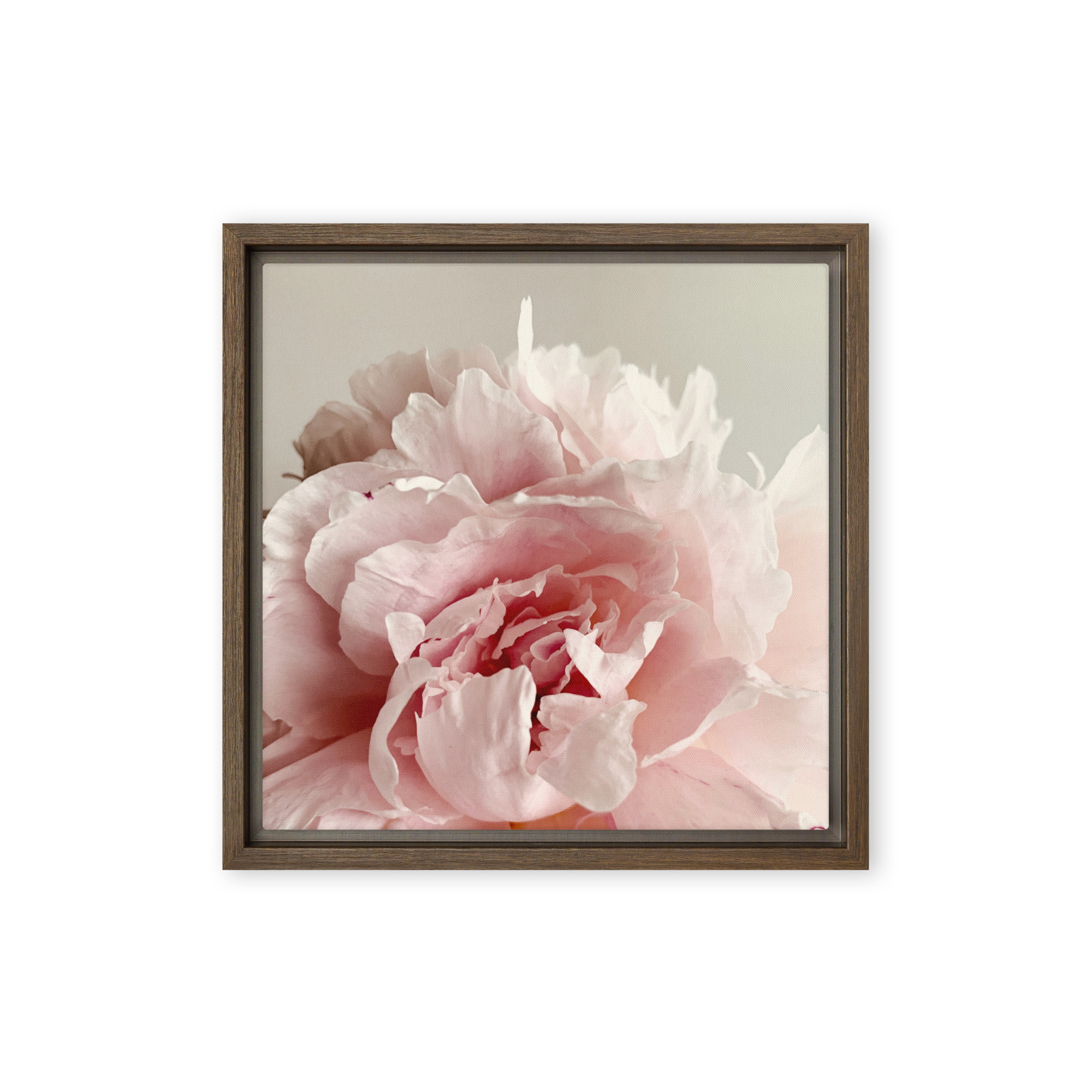 Soft Bloom Soft Bloom framed canvas art (front view)