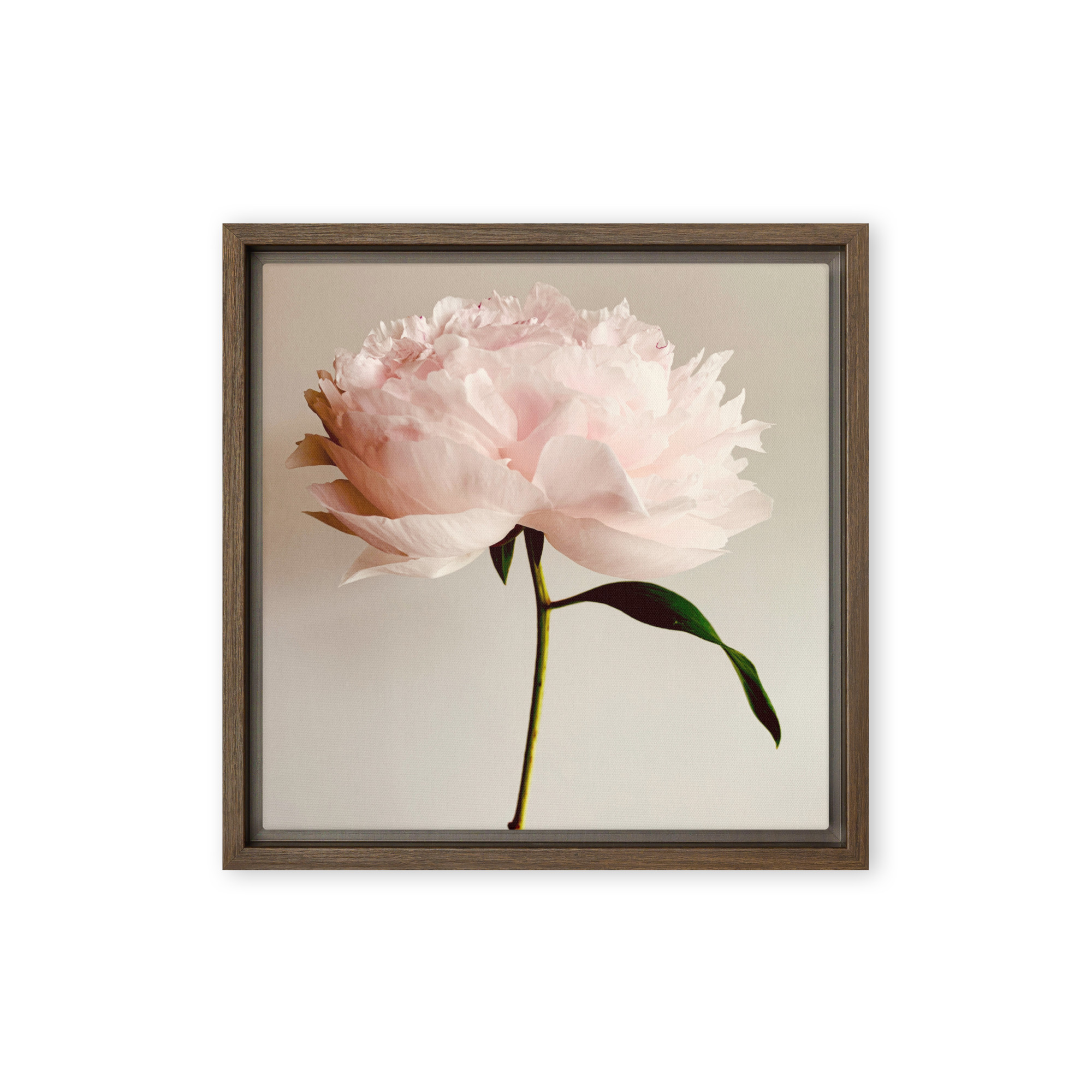 Soft Solitude Soft Solitude framed canvas art (front view)