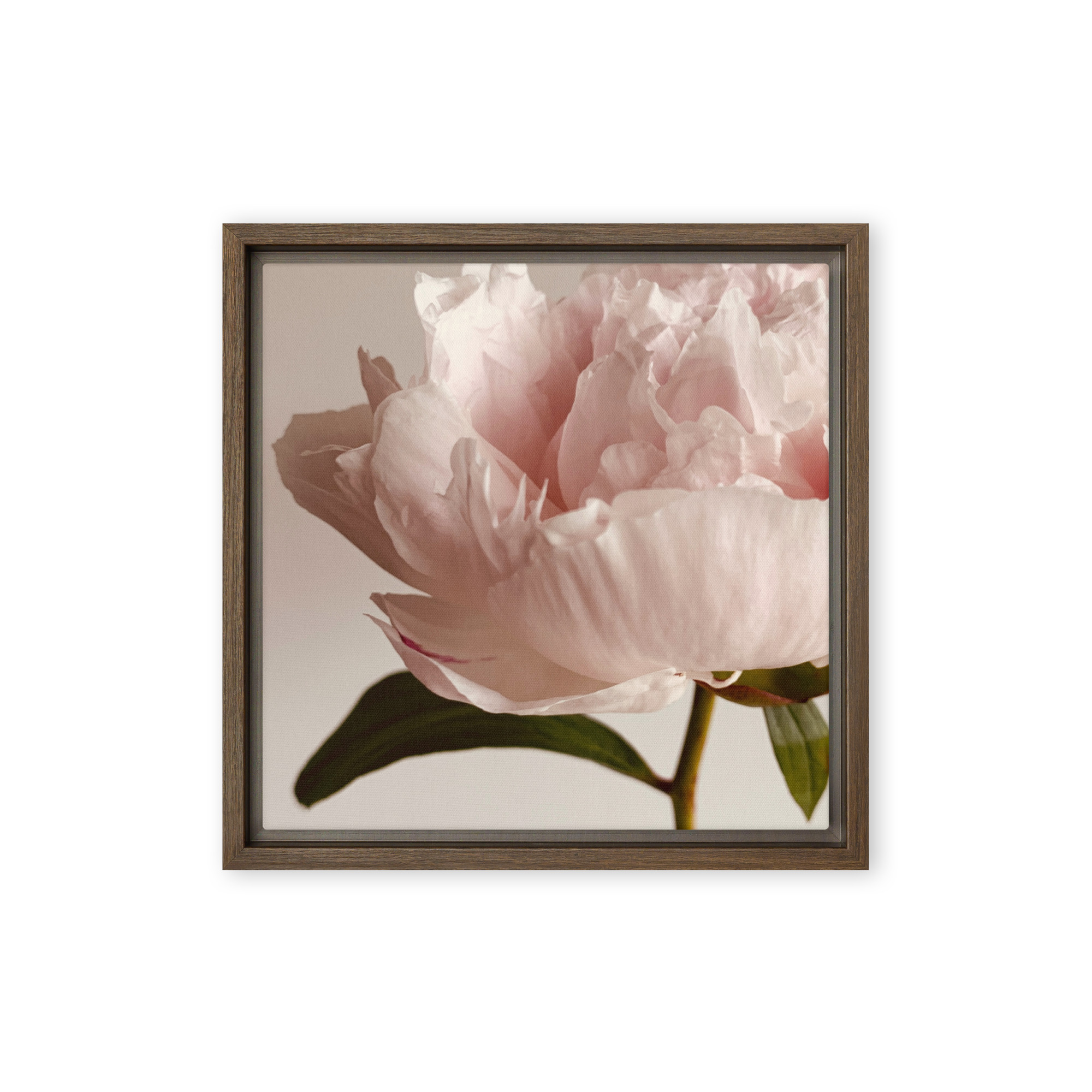 Soft Contour framed canvas art (front view)