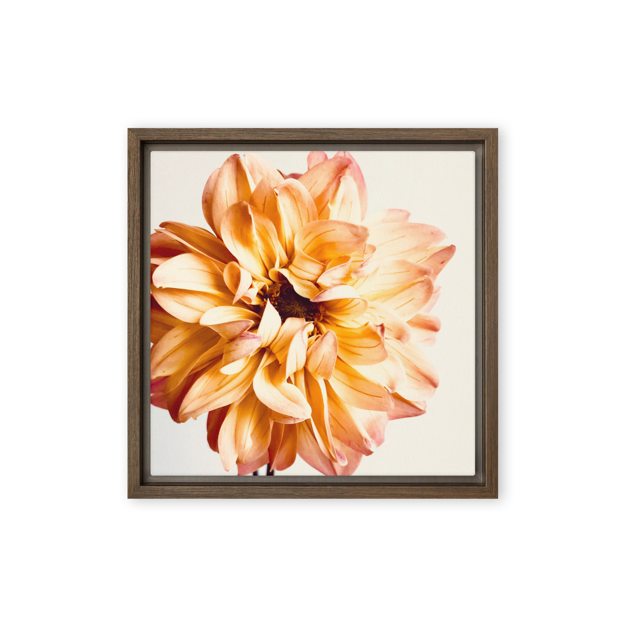 Amber Flame Amber Flame framed canvas art (front view)