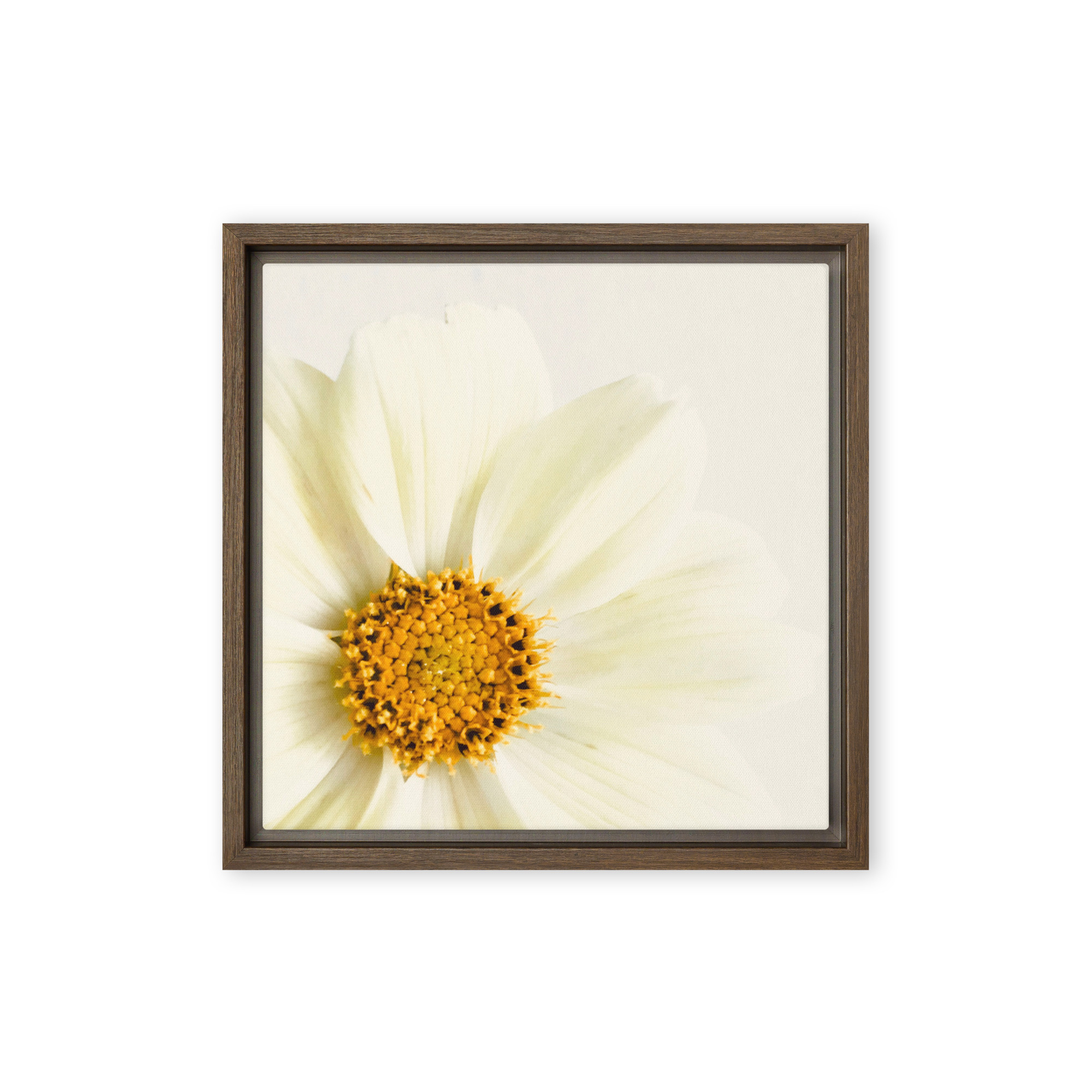 Golden Center Golden Center framed canvas art (front view)