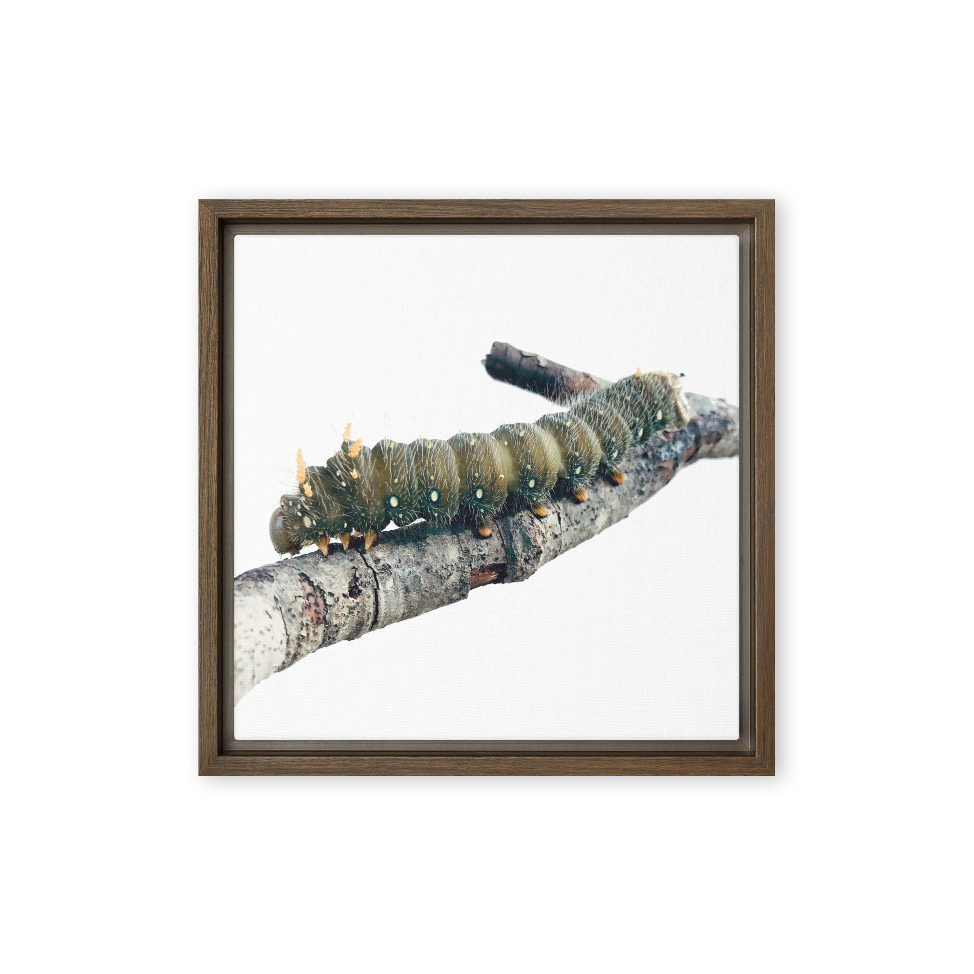 The Intern framed canvas art (front view)