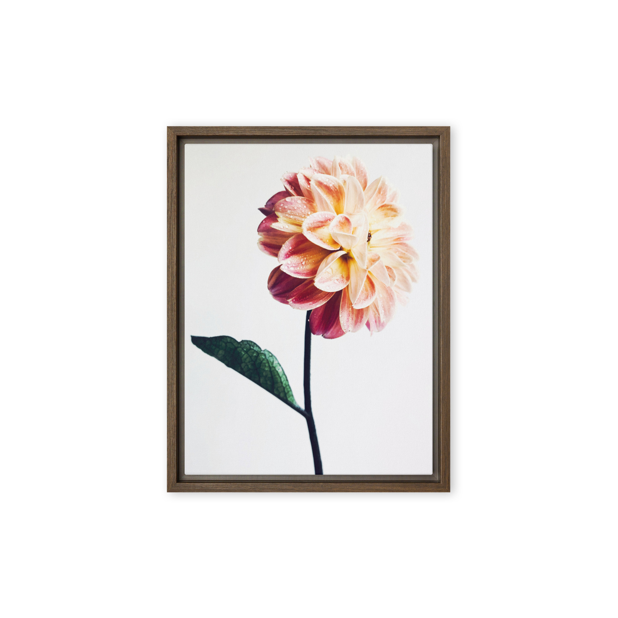 Standing Bright Standing Bright framed canvas art (front view)