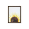 Summer Rise framed canvas art (front view)