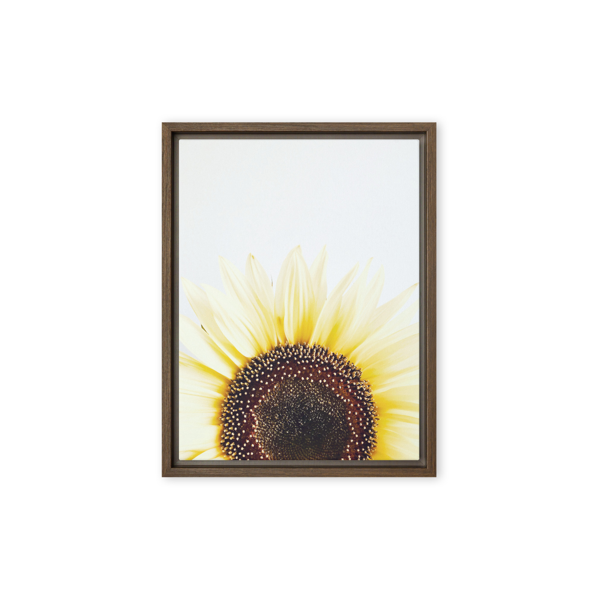 Summer Rise framed canvas art (front view)