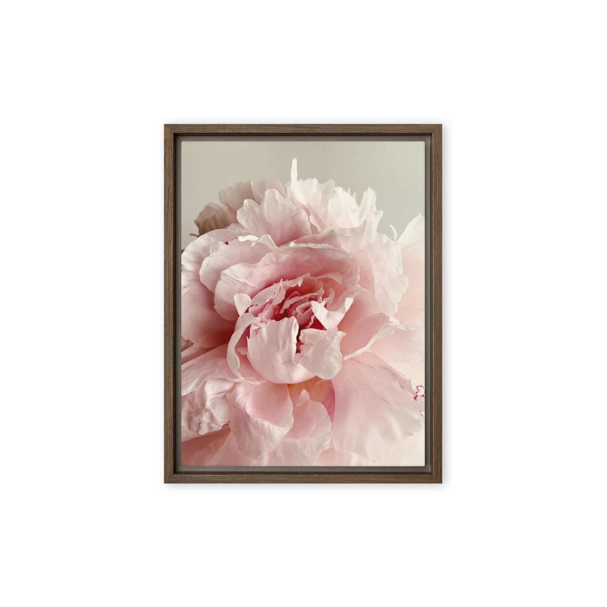 Soft Bloom Soft Bloom framed canvas art (front view)