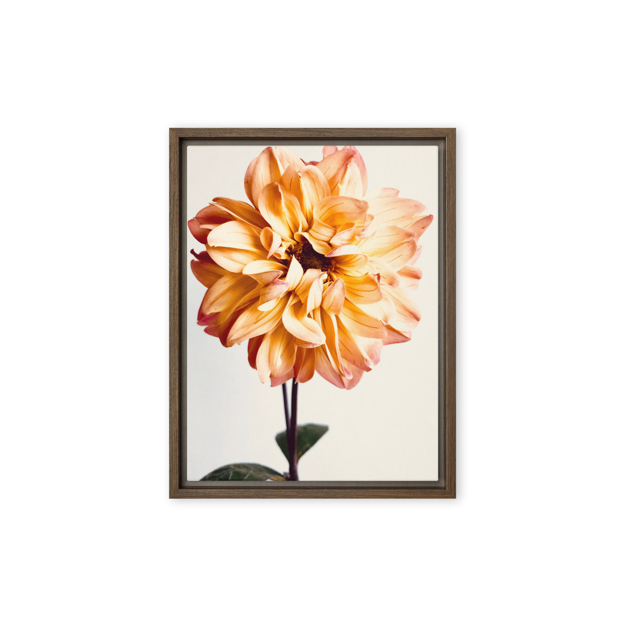 Amber Flame Amber Flame framed canvas art (front view)