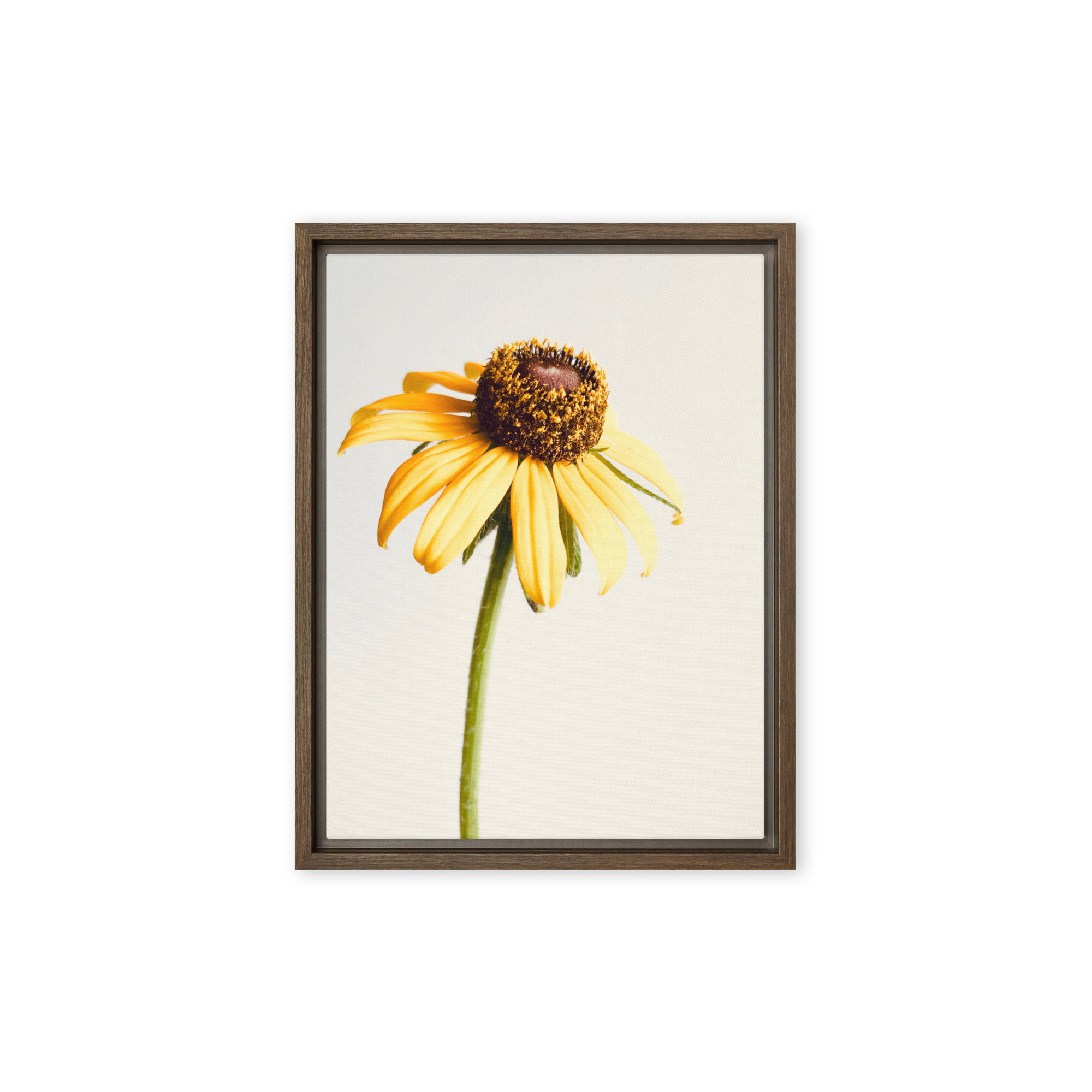 Simple Cheer framed canvas art (front view)