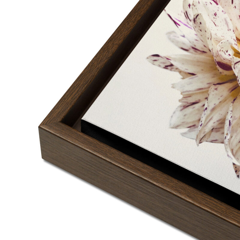 Freckled Bloom framed canvas art (detail)