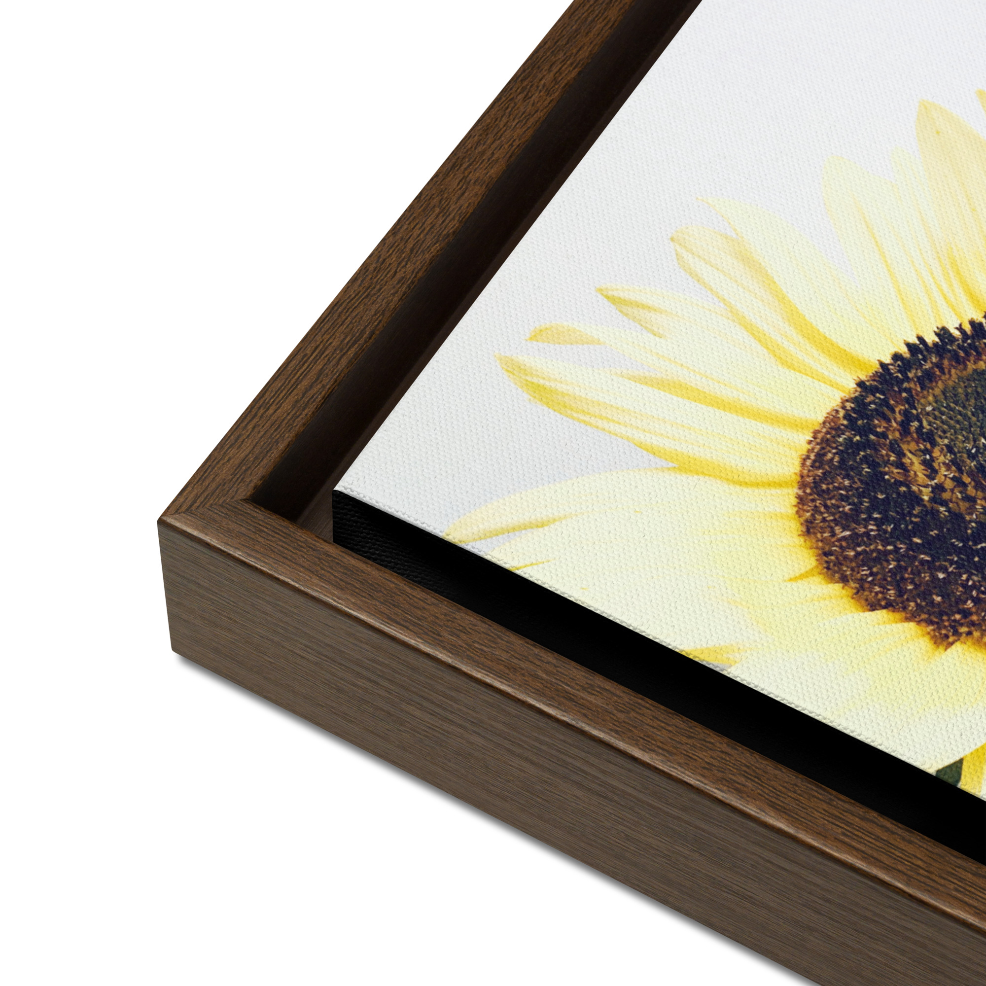 Open Face Open Face framed canvas art (detail)