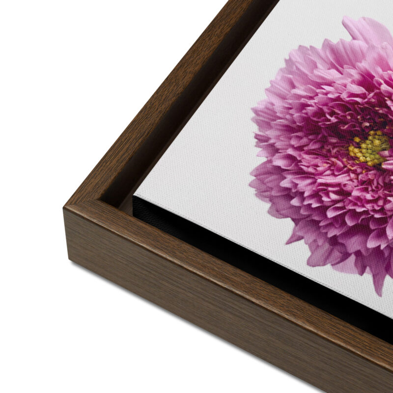 Bright Companion framed canvas art (detail)