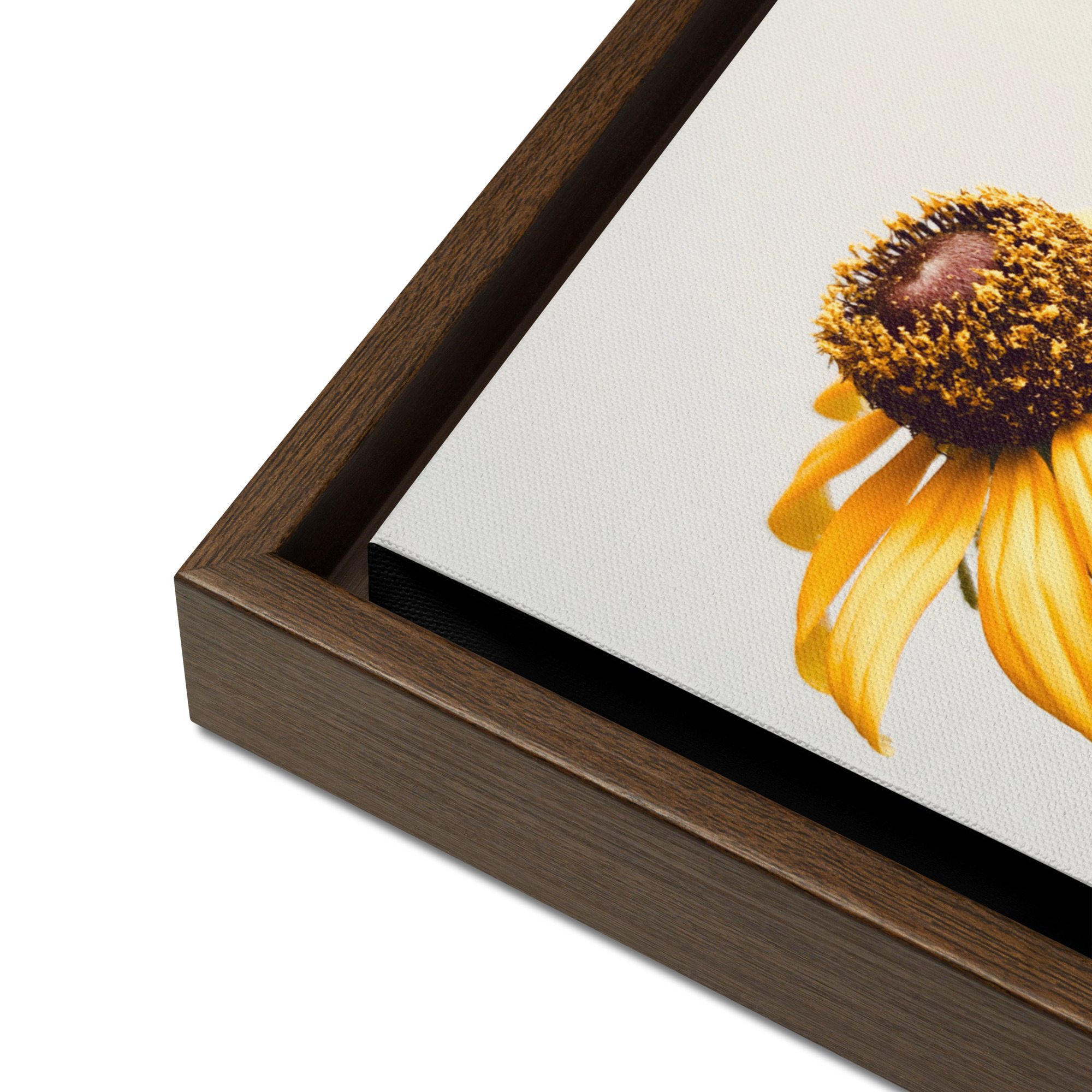 Simple Cheer framed canvas art (detail)