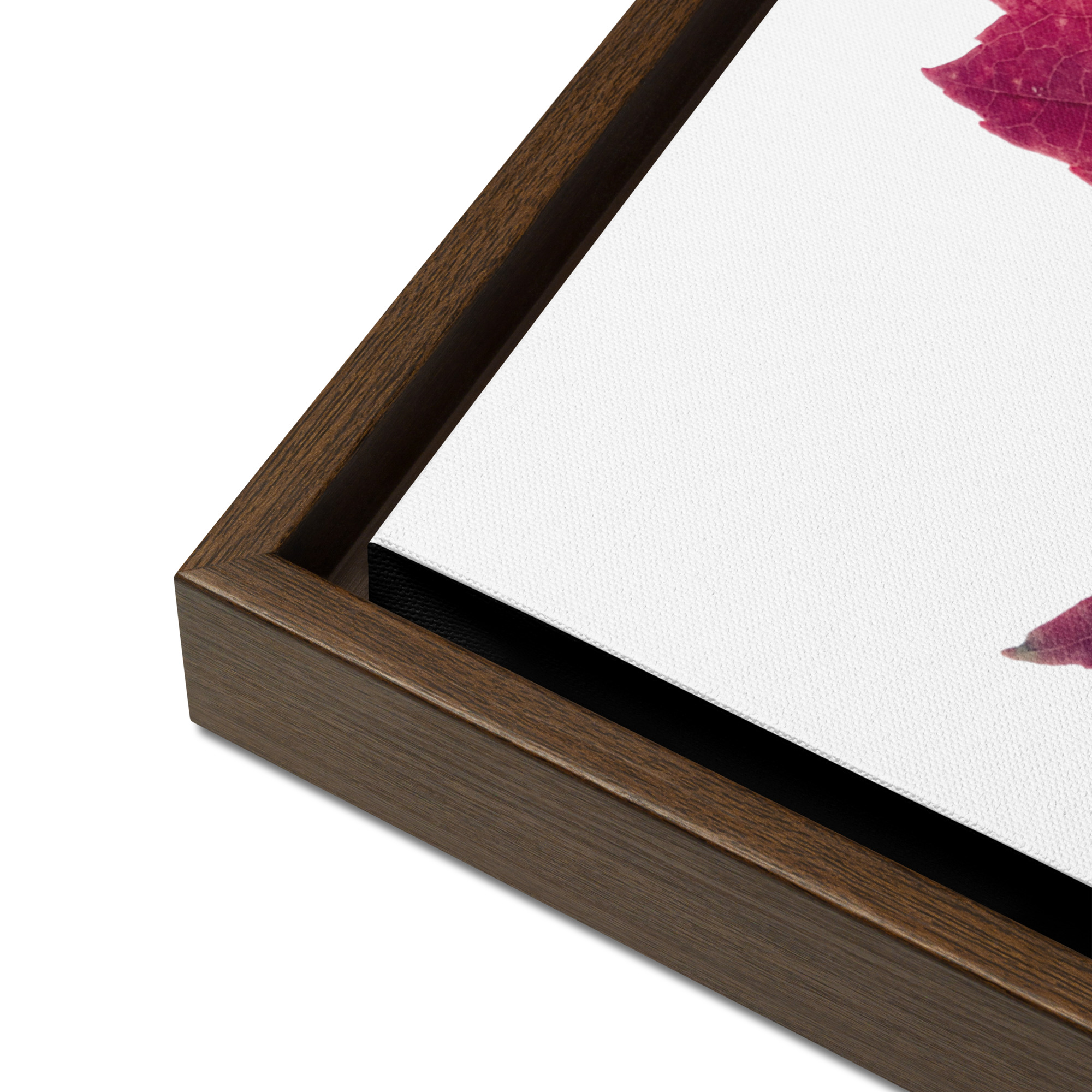 Divided I Divided I framed canvas art (detail)